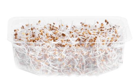 Микрозелень люцерны, 30 г фото 2